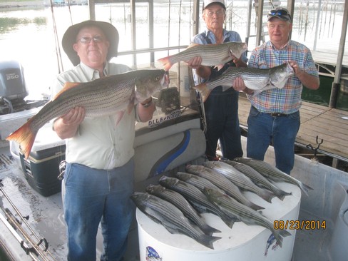 Nice Striped Bass